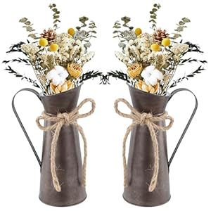 Pack de 2 Jarrones para Flores de Metal, Jarron Galvanizado, Florero De Hierro, Jarrón Vintage de Estilo Rústico, Rural Florero Rústico, para Decoración de Mesa de Balcón, Sala de Estar