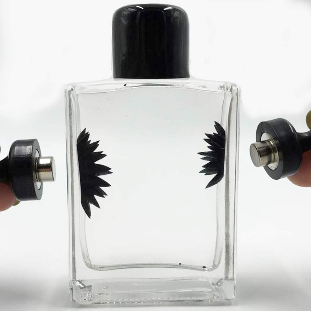 LHS Charmer Magnetic Liquid Desktop Accessory Interactive Toy