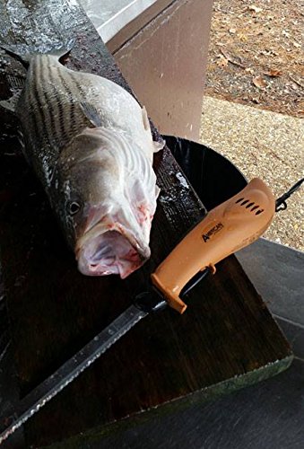 American Angler PRO Electric Sportsmen's Kit