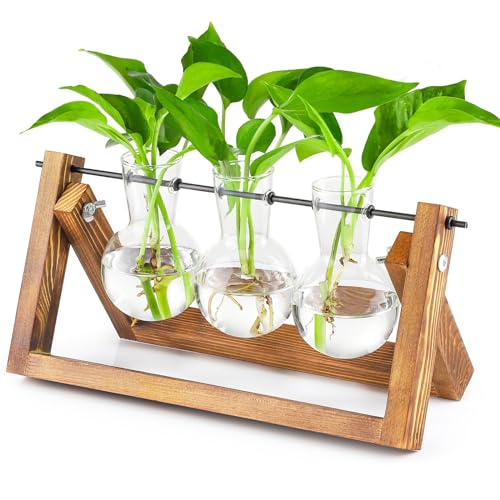 Propagation Station Plant Terrarium with Wooden Stand, Desktop Propagation Stations Glass Hydroponics Terrarium Planter Holder for Gardening Office Home Decor(3 Bulbs Vase)