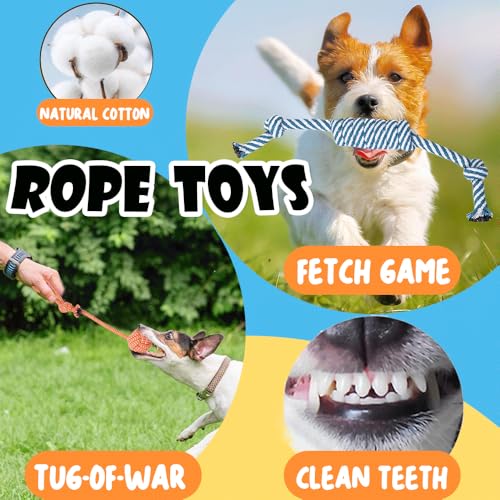 10 Stück Hundespielzeug Kleine Hunde Set mit 4X Quietschspielzeug Plüschspielzeug, 5X Hundeseile & 1x Futterball | Kauspielzeug für Welpen & Kleine Hunde | Zahnreinigung Welpen Spielzeug für Hunde