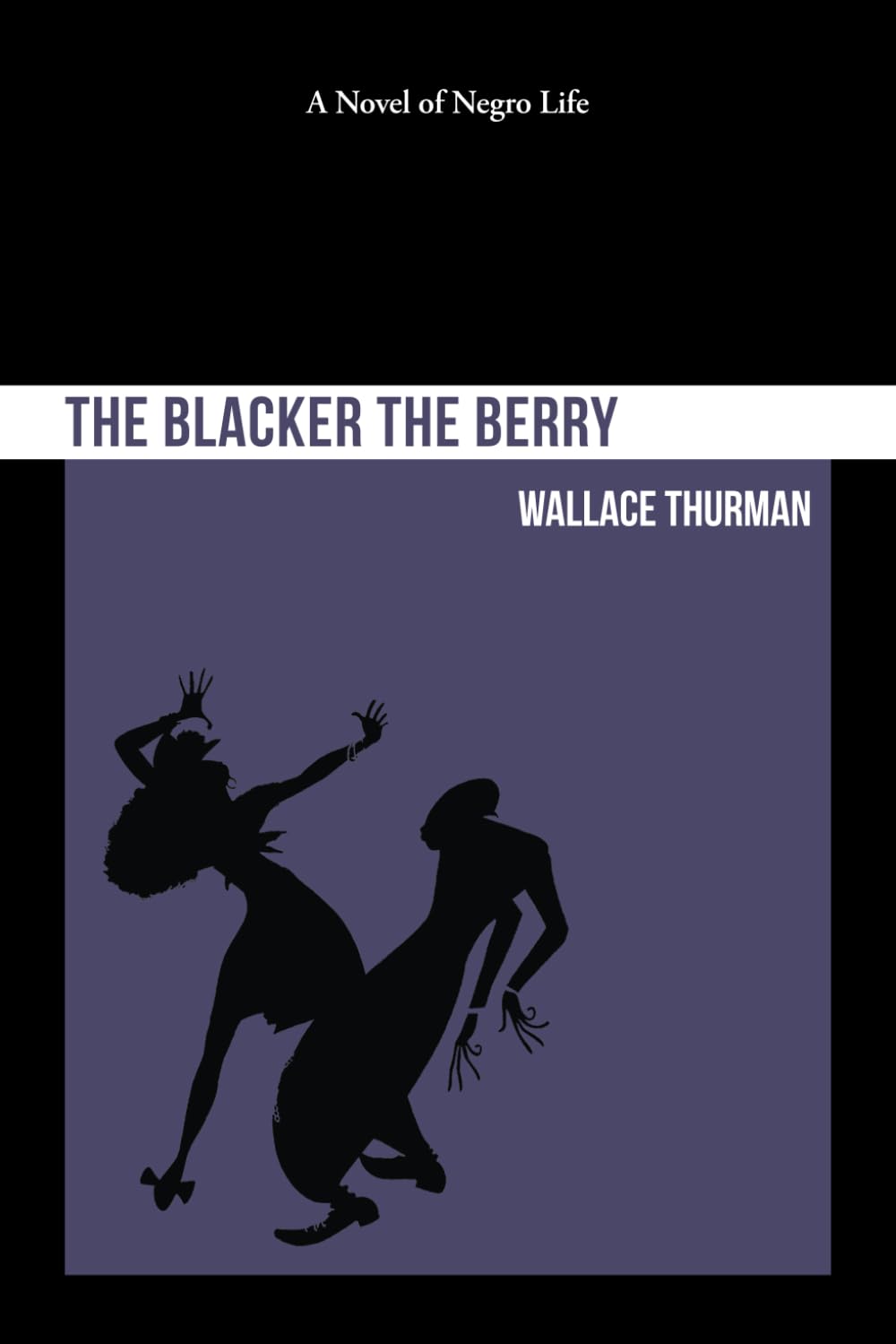 The Blacker the Berry: A Novel of Negro Life