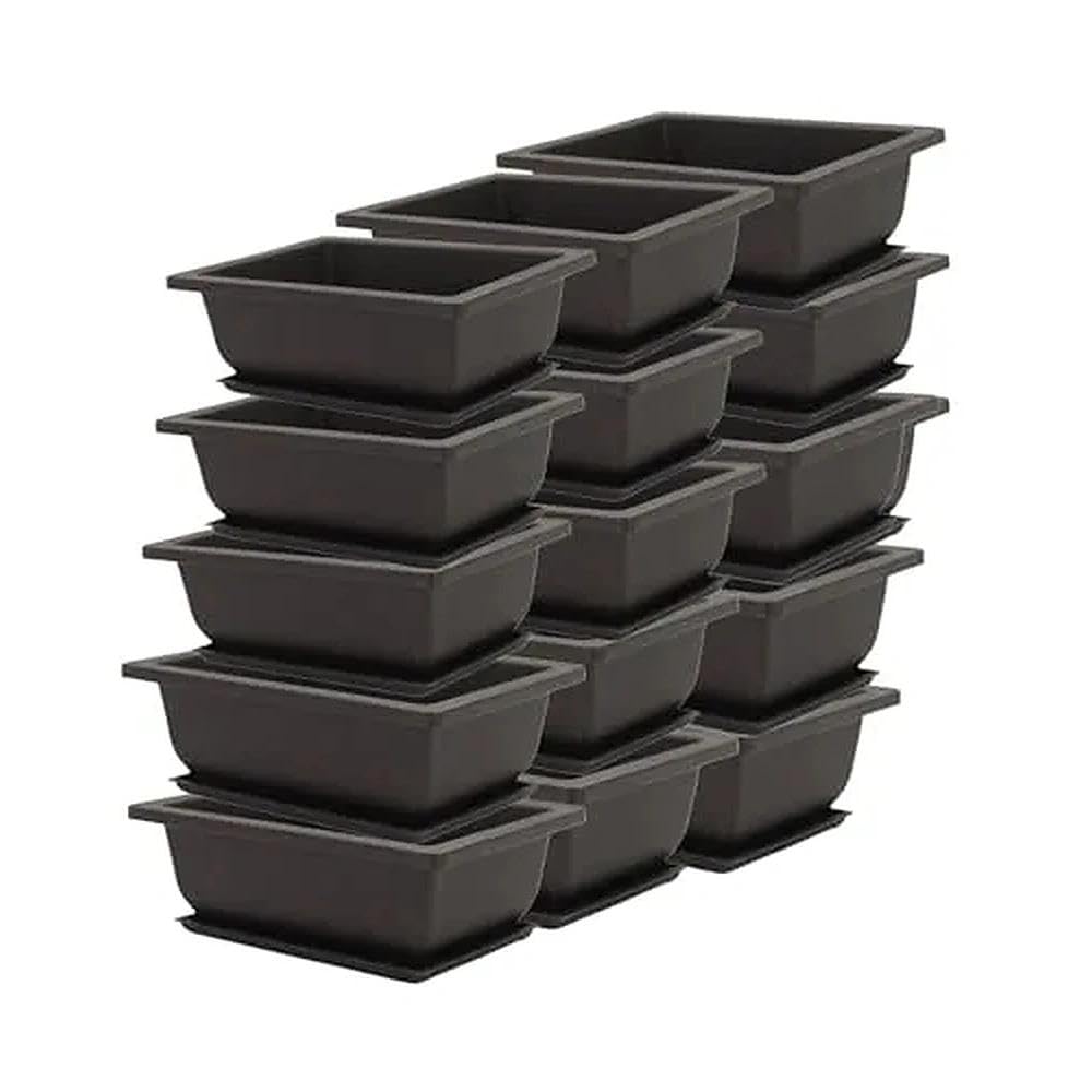 Pots à bonsaï avec plateaux pour stopper l'excès d'eau lot de 15 bacs rectangulaires 16,5 cm
