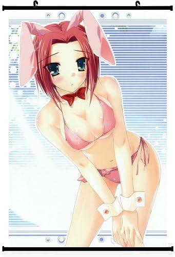 Code Geass Lelouch of the Rebellion Anime Wall Scroll Poster Kallen Stadtfeld (16''24'') Support Customized