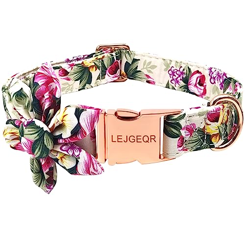 Top 10 Kate Spade Dog Collars of 2022 Katynel