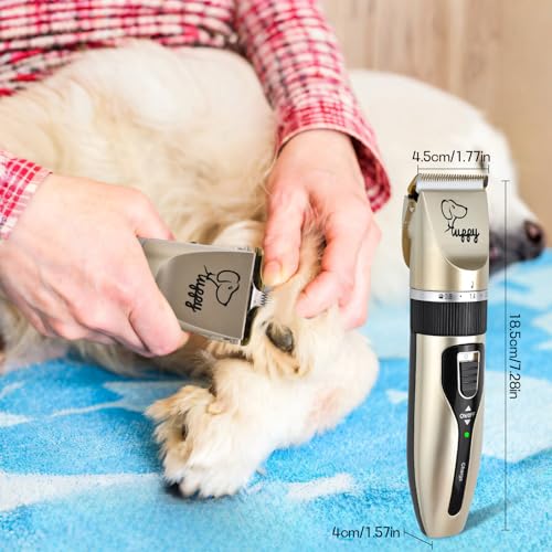 Image of Electric Clipper for Dogs and Cats with Adjustable Comb, Low Noise