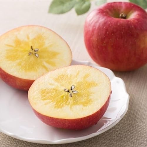 TOBIFRU XY ݂i񂲁j 6`13 2kg t[clߍ킹 ʕ Mtg j 䌩 j a wj Əj Џj 䋟 v[g  ~Mtg Ε ̂Ή