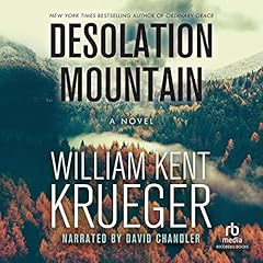 Desolation Mountain cover art