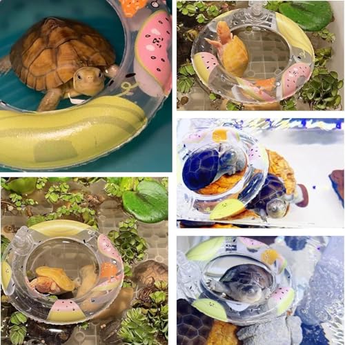 Image of 5 Pack 4.3 Inch Inflatable Turtle Swimming Ring Turtle Floating Platform Toy Small Animal Floaties Swimming Ring Basking Rest Dock for Turtle Tortoise (Fruit)