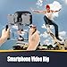 Zeadio Camera Stabilizer Kit, with Smartphone Video Cage Rig and RGB Video Light, for All Camera Action Camera DSLR Smartphone