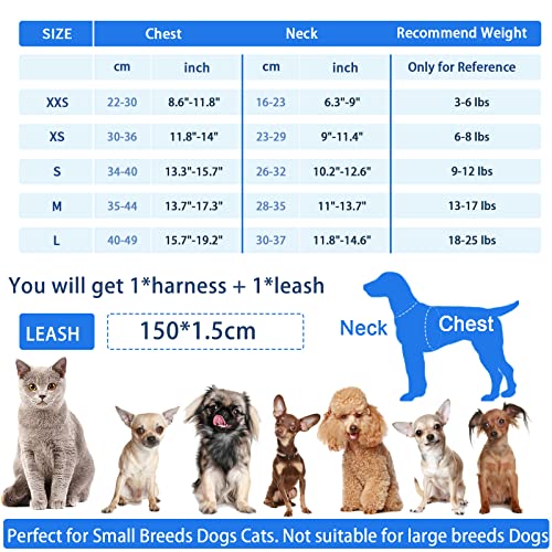 Petpubgnzs Soft Small Dog Harness And Leash Set Step In Air Mesh Puppy Harness Leash Easy Walk Dog Harness Vest Adjustable Reflective No Pull Dog Harnesses For Small Dogs Cats (Blue Grey,Xs) #TOP5