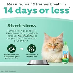   TropiClean-Fresh-Breath-for-Cats-Cat-Dental-Care-and-Teeth-Cleaning-Breath-Freshener-Water-Additive-for-Cats-Made-in-the-USA-16-oz