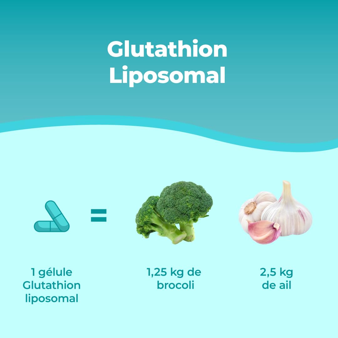 Bandini® Glutathion Liposomal Réduit 60 Gélules, Forme Active L-Glutathion | (Setria) Réductase Bioactif, Haut Dosage, Absorption & Biodisponibilité, L Glutathione Puissant Antioxydant Naturel Anti-âge