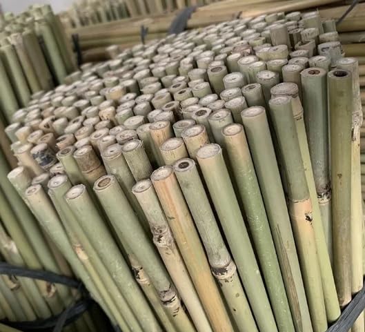 TCLPVC Natural Bamboo Canes, Sticks Gardening Plant Support Stakes for Indoor Plants, Tomatoes, Potted Plants (5FT, Pack of 10)-picture-3