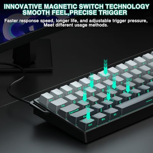 Image of Aula WIN60 HE - 60% Mechanical Gaming Keyboard Wired, Hall Effect Magnetic Switch Hot Swappable,8000 Hz Polling Rate, RGB Keyboard 60 Percent Compact Design for PC (Gradient Gray)