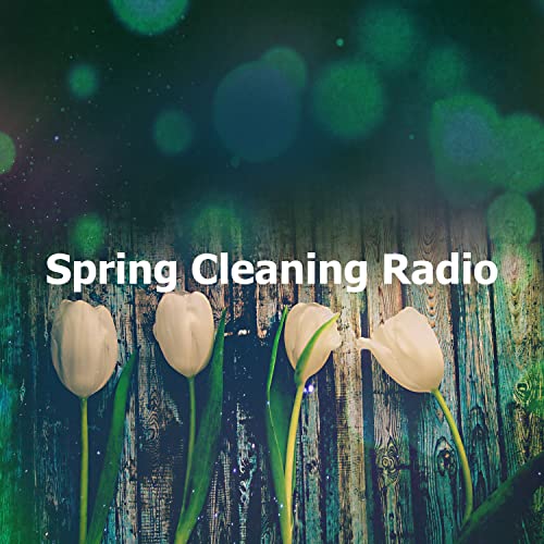 Amazon.com: Spring Cleaning Radio : Spring Clean Background Playlist ...