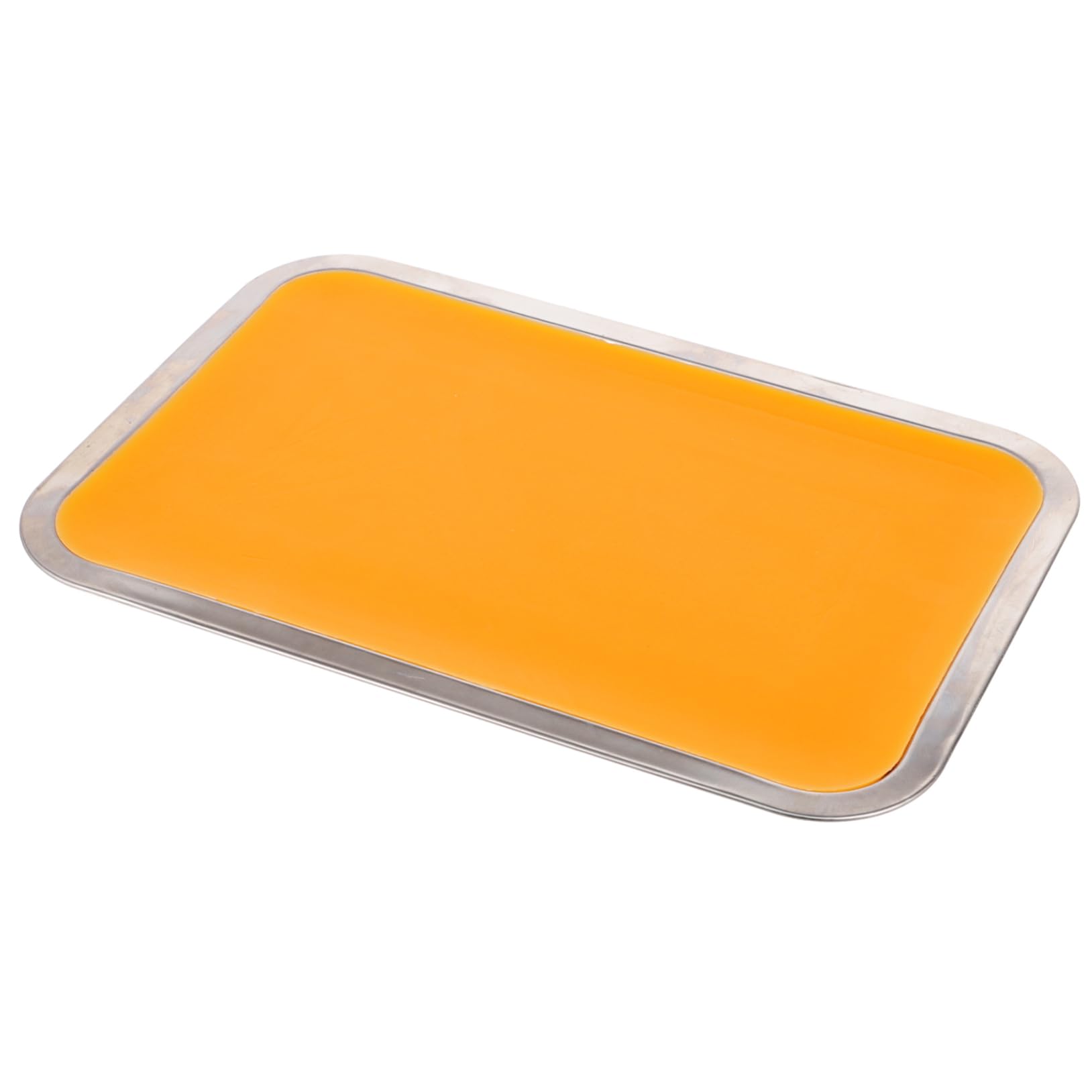 PRETYZOOM Plateau Acier Inoxydable pour Laboratoire avec Cire Utilisation pour Dissection Anatomique