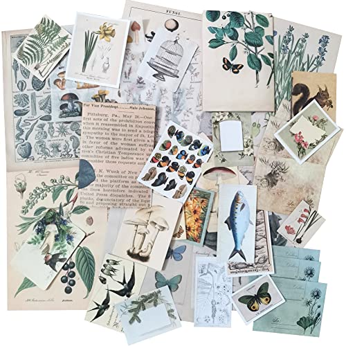 Vintage Scrapbook Sticker Aesthetic Set Nature Plant Floral Animal Bird Butterfly Mushroom DIY Label for Scrapbooking Planner Album Art Craft Diary Journal Journaling Card Making Gift Warraping Books