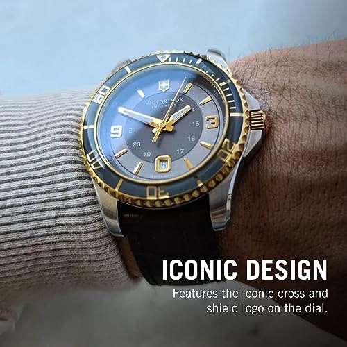 ENE LTD (MyHabit) 241605