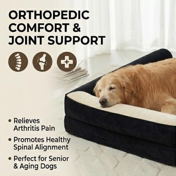 Image of Gorgeous Large Dog Bed Pet Sofa for Medium,Large Dogs, Ultra Soft & Durable, Extra Comfort, Ideal Pet Bed Removable Cover Beds Cream,Black 42x27x3 inch