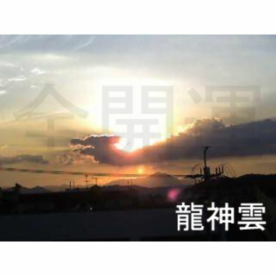 Amazon.co.jp: 龍神 白龍 最強運 除霊浄化スプレー 白龍神 幸福誘導 