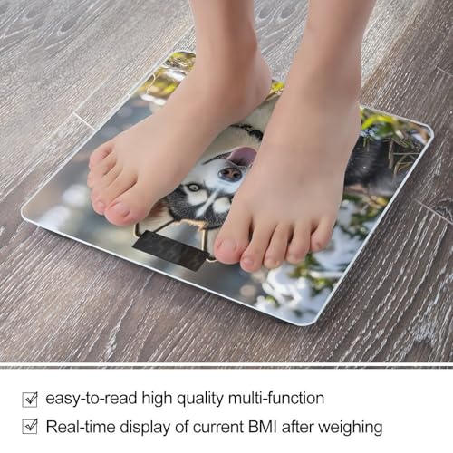 Báscula digital de baño con vidrio templado y pantalla LCD miniatura 5
