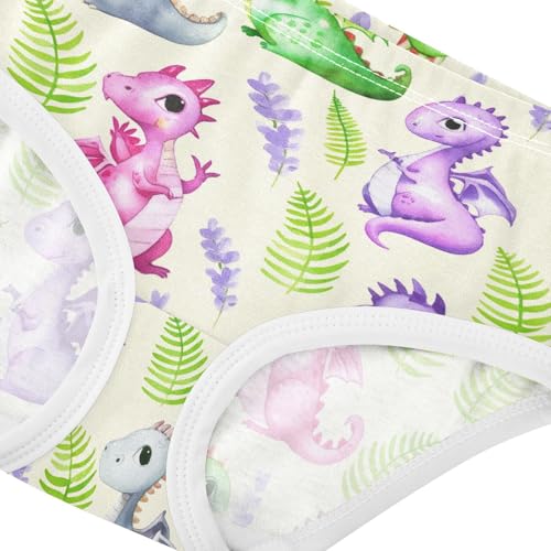 Joisal Cute Cartoon Dragons Beige Girls Underwear Toddlers 2t Cotton Cute Panties Girl Stylish Kids Undies Briefs4