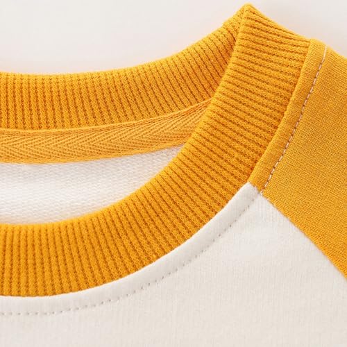 Boys Sweatshirts Long Sleeve Sweatshirts T-shirts Crew Neck Cotton Casual Sweatshirts Cartoon Tops for Boys-853