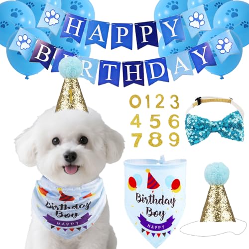 Set de Sombrero y Bandana para Cumpleaños de Perros