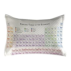 Ambesonne Science Quilted Pillowcover, Chemistry Primary Students Geek Nerd Lessons Smart Art Print, Standard King Size Accent Pillow Cover for Bedroom, 36″ x 20″, Multicolor