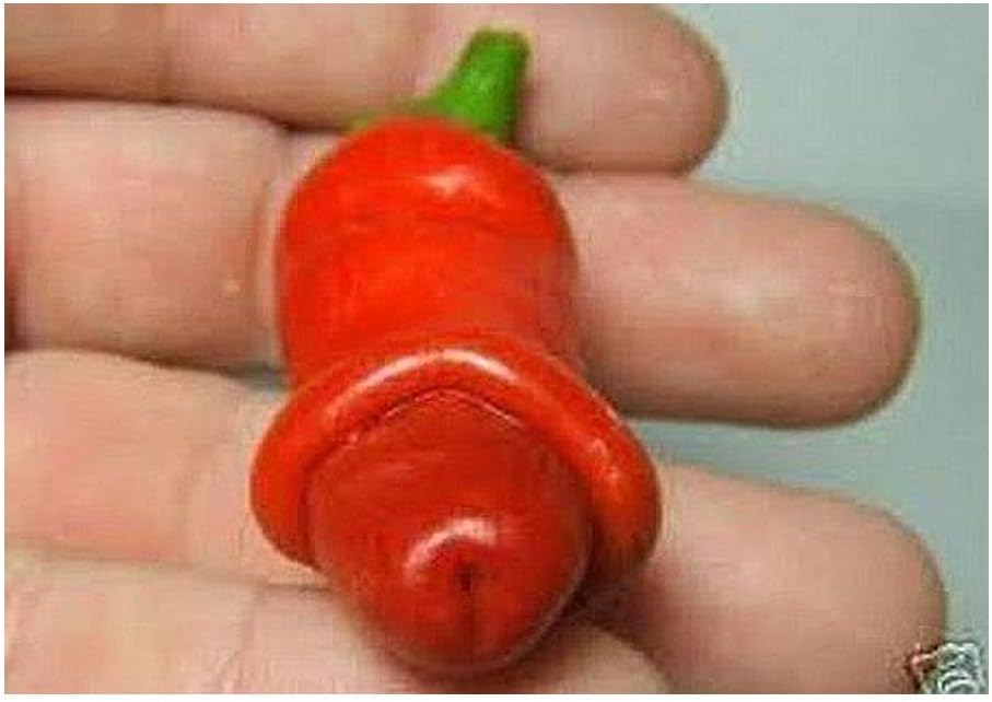 Chili Peter Pepper Red - hot pepper - 5 seeds
