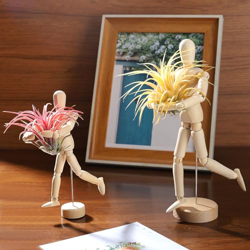 Image of ANPHSIN 2 Sizes Wooden Air Plant Holder, Adjustable Poses, 2 pcs