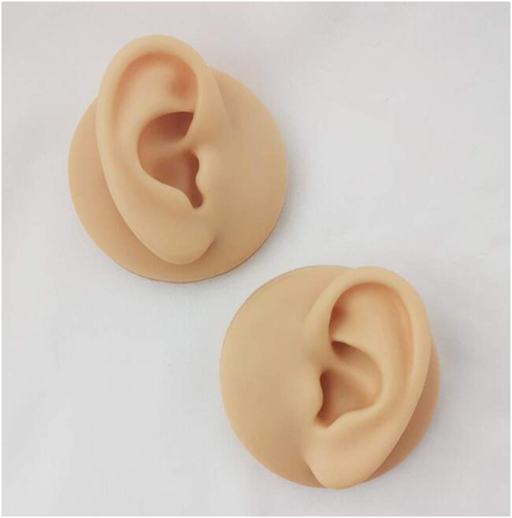 Modello Orecchio Umano Destro In Silicone | 43x65 Mm | Per Insegnamento Piercing, Agopuntura E Pulizia | Simulazione Realistica - 3
