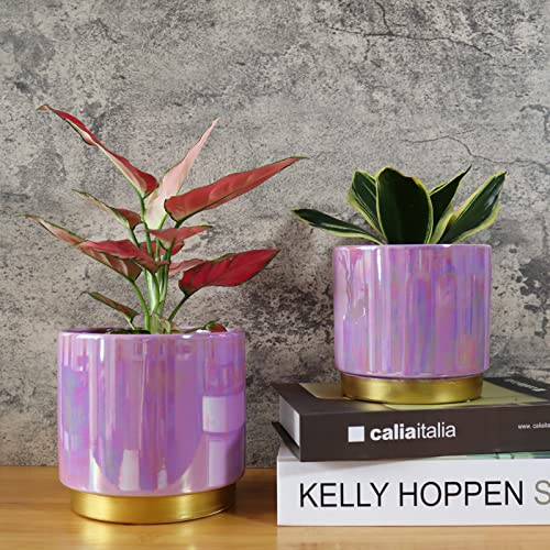Yqslysf Ceramic Planter For Plants With Drainage Hole, 6.0 Inch+5.0 Inch Flower Pot, Rainbow Purple Glazed, Indoor-Outdoor Large Round Succulent Orchid Pots Set #TOP2