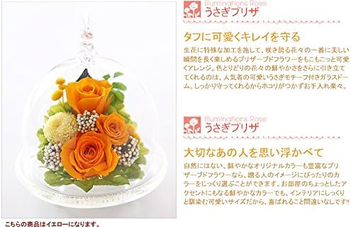 Amazon アートフォーシーズン うさぎプリザ イエロー アートフォーシーズン プリザーブドフラワー