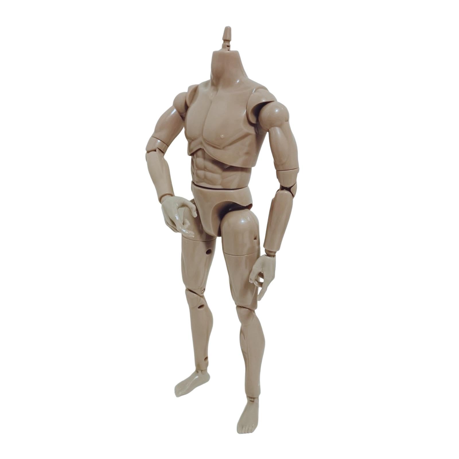 ZOOMELLA 1:6 Scale Male Action Figure 30cm Male Body Sketch Model