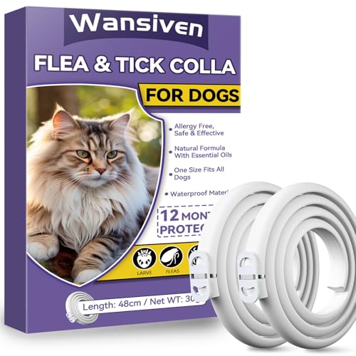 Wansiven Collier Anti-puces pour Chats, Collier Anti-puces réglable et imperméable de 48 cm aux huiles essentielles, Convient à Tous Les Chats, Protection de 12 Mois (Violet-2p)