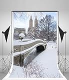 Laeacco 6x8ft Vinyl Photography Background Central Park New York Manhattan City The Bow Bridge...