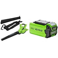 Greenworks GD40BV Aspiratore Soffiatore a Batteria per Foglie