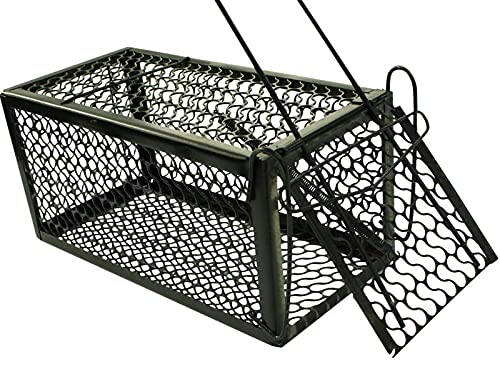Rammento 24cm Humane Rat Trap, Black | Metal Spring Loaded Bait Box for Rodents | Live Rodent Cage Trap, Vermin Trap | Mouse & Rat Bait Station