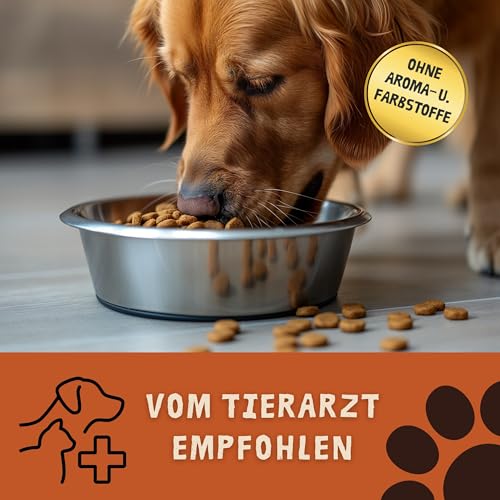 Ropo Dog Hunde Trockenfutter 15 kg – für ältere Hunde ab 7 Jahren, Senioren-Kräcker Vollnahrung mit Lecithin, leicht verdaulich, ohne künstliche Zusätze, Premium-Qualität für alle Rassen