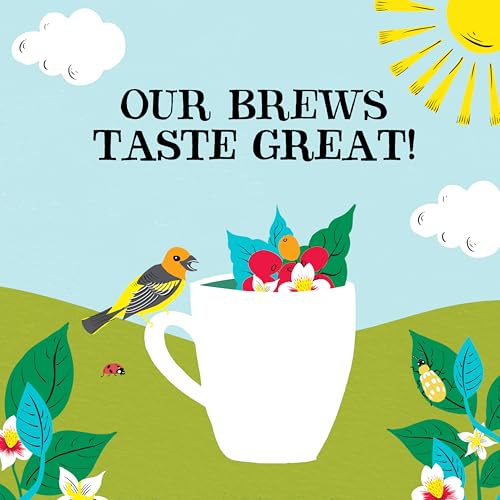 Clipper Latin American Decaf Coffee
