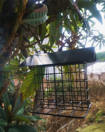Outdoor Wild Bird Feeder Metal Opknoping Vogelvoederhuis Washable Zwart Small Regendicht Eekhoorn-proof Single Suet Cake… - Afbeelding 4