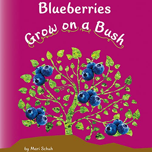 Blueberries Grow on a Bush by Mari Schuh episode artwork