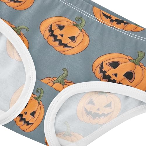Orange Lantern Pumpkins Halloween Toddler Girls Underwear 2t Cotton Girl Panties Cute Fun Underpants Briefs4