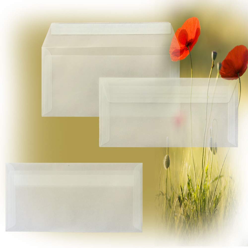 Buste DIN lunghe, 110 x 220 mm, 120 g, linguetta dritta con adesivo, ideali per compleanno, Natale, 200 x 60 cm, trasparenti