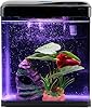 Betta Fish Tank Self Cleaning 2 Gallon Small Aquarium Starter Kits Desktop Room Decor w/LED Light Decorations & Whisper Filters Water Pump (260V2)
