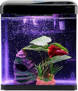 Betta Fish Tank Self Cleaning 2 Gallon Small Aquarium Starter Kits Desktop Room Decor w/LED Light Decorations & Whisper Filters Water Pump (260V2)