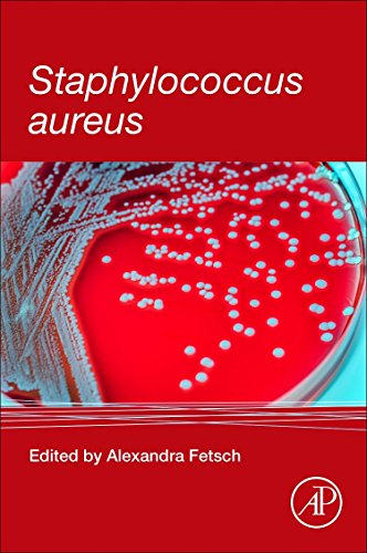 Staphylococcus aureus view 2