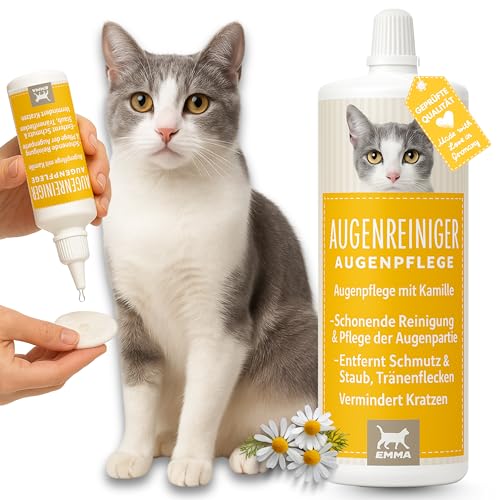 Augentropfen Fur Katzen